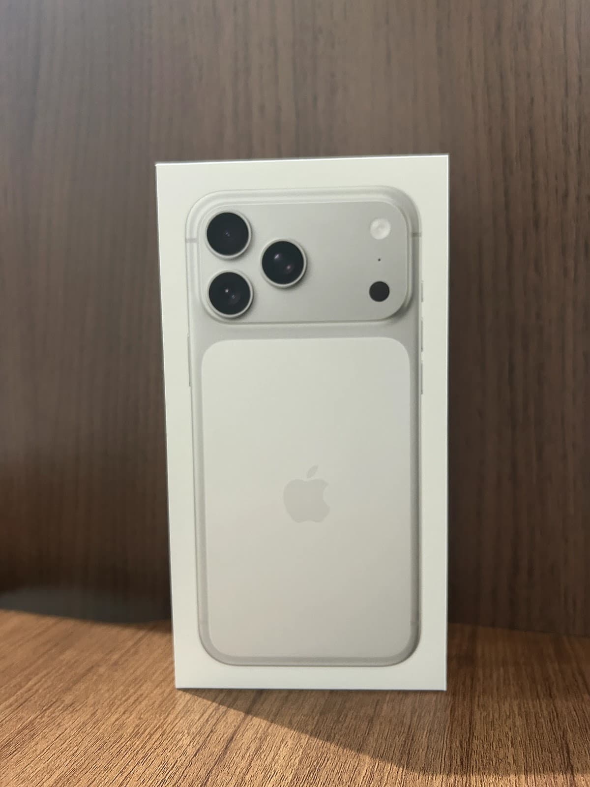 iPhone 17 Pro Max 256GB Silver